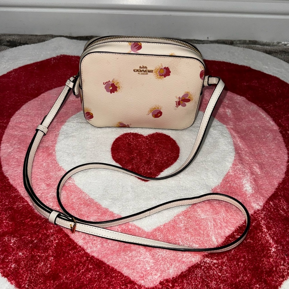 Coach mini crossbody